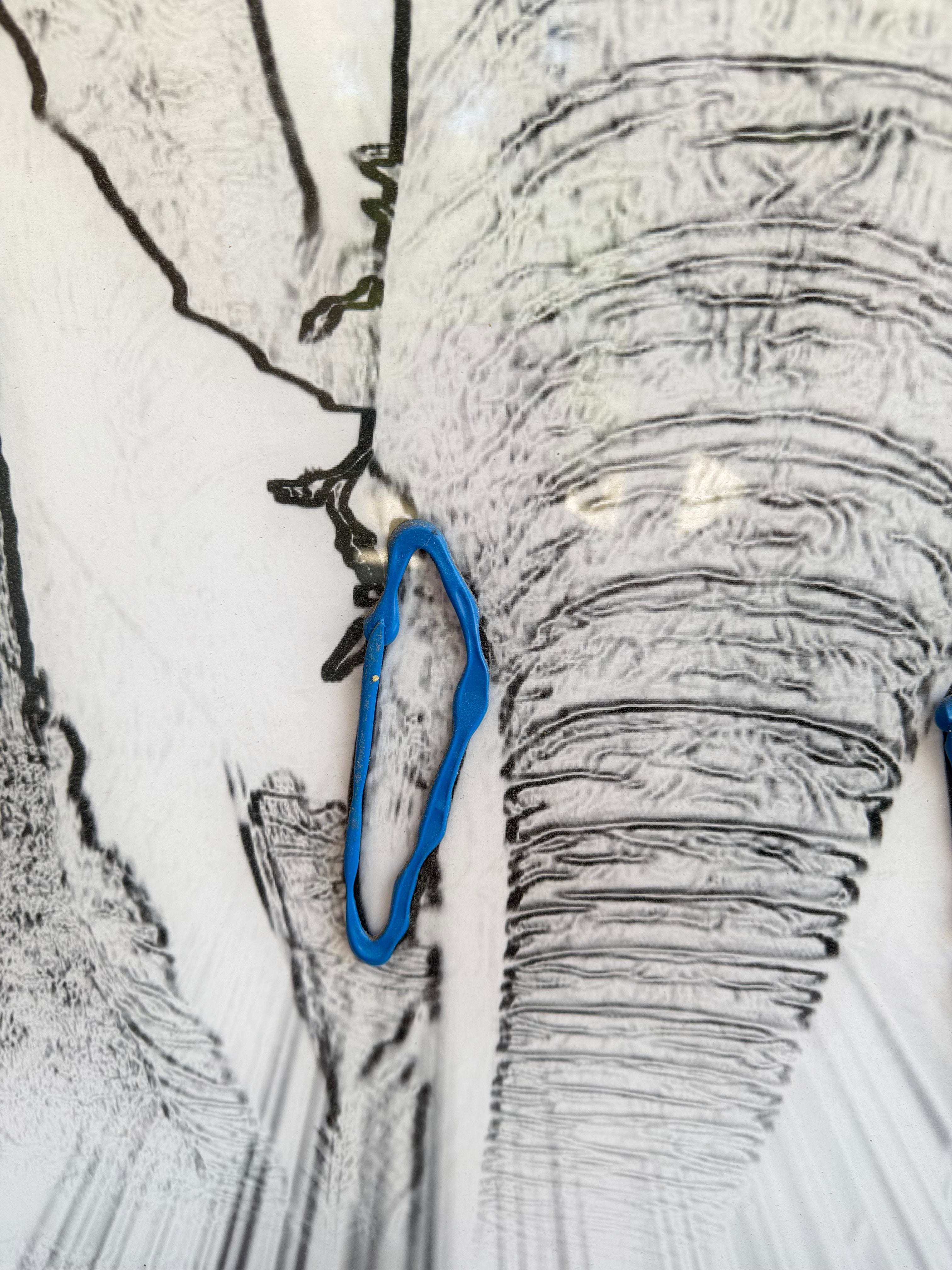 Elephant No Ivory Blue - SJ